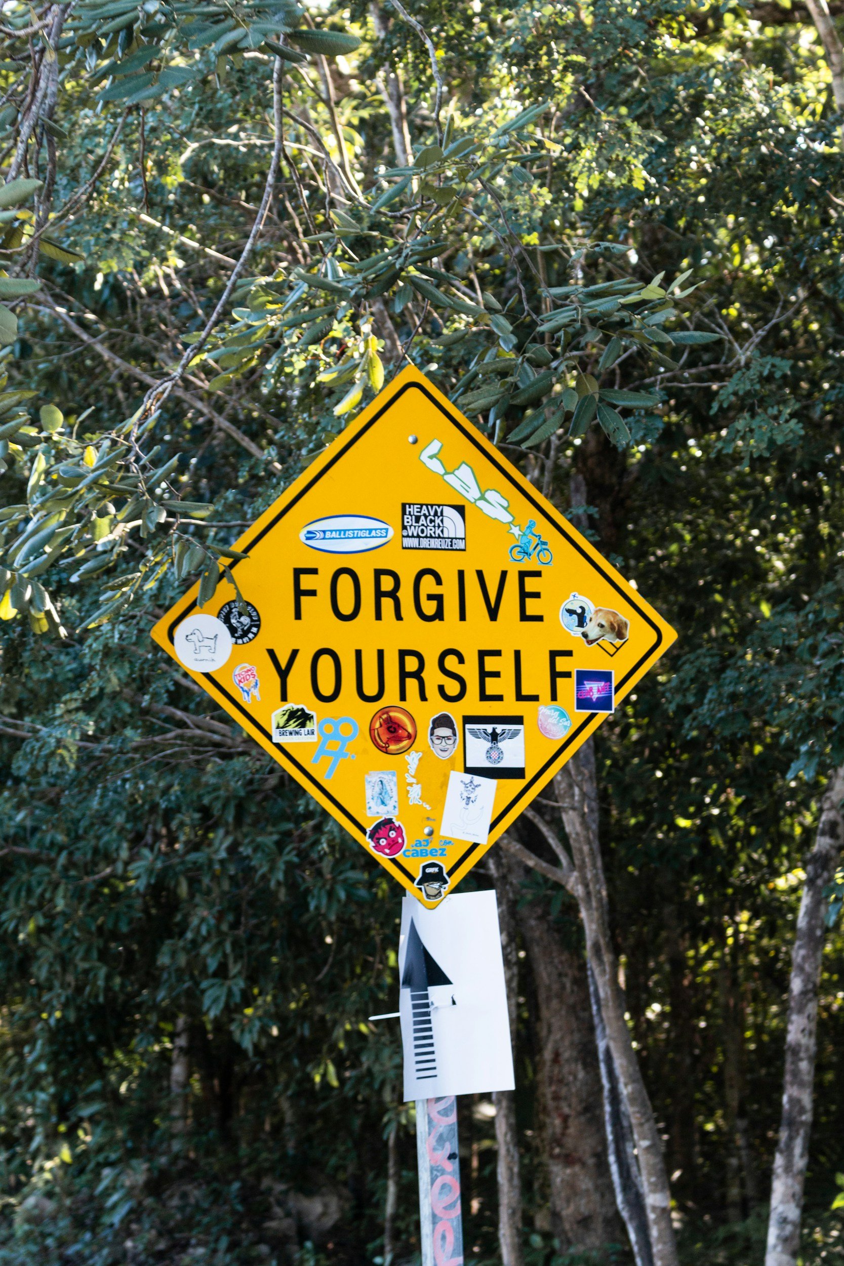 Self-Forgiveness: How to Stop Being Your Own Worst Critic
