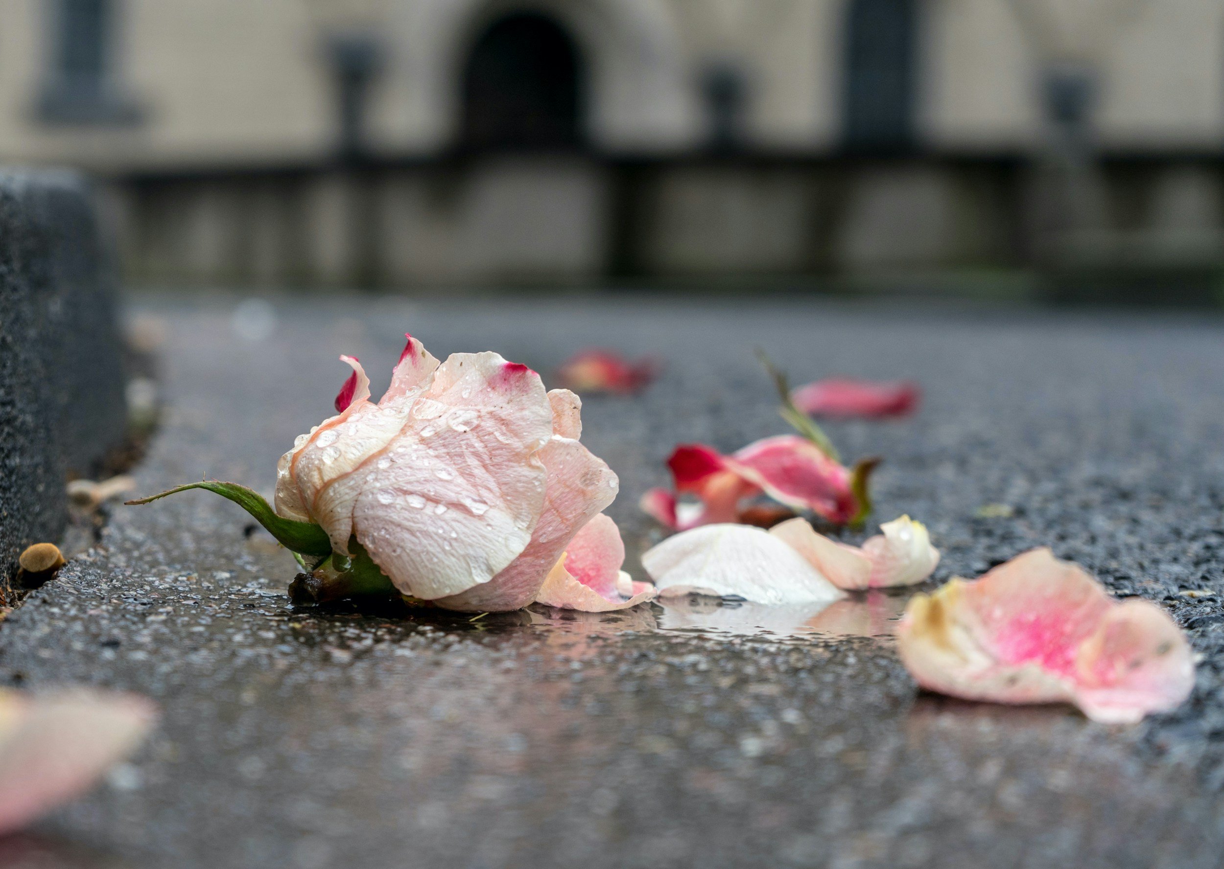 Navigating the Unseen Grief: Miscarriage’s Ripple Effect on the Family